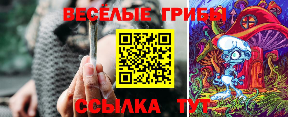 Псилоцибиновые грибы Psilocybe Азнакаево