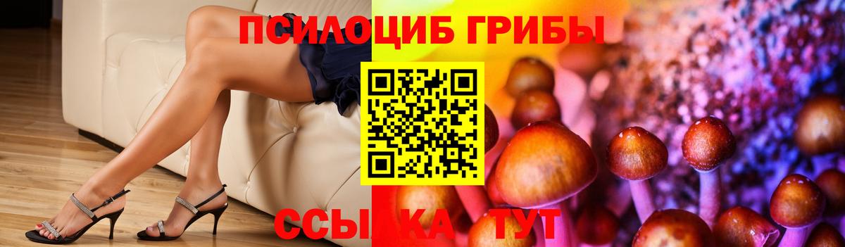Галлюциногенные грибы прущие грибы  Галлюциногенные грибы GOLDEN TEACHER  Азнакаево  Вход с VPN 